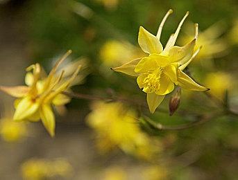 全面提升 《最终幻想7：重制版》新版高清材质MOD